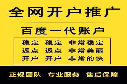 抖音信息流代理在电商行业的应用案例分析
